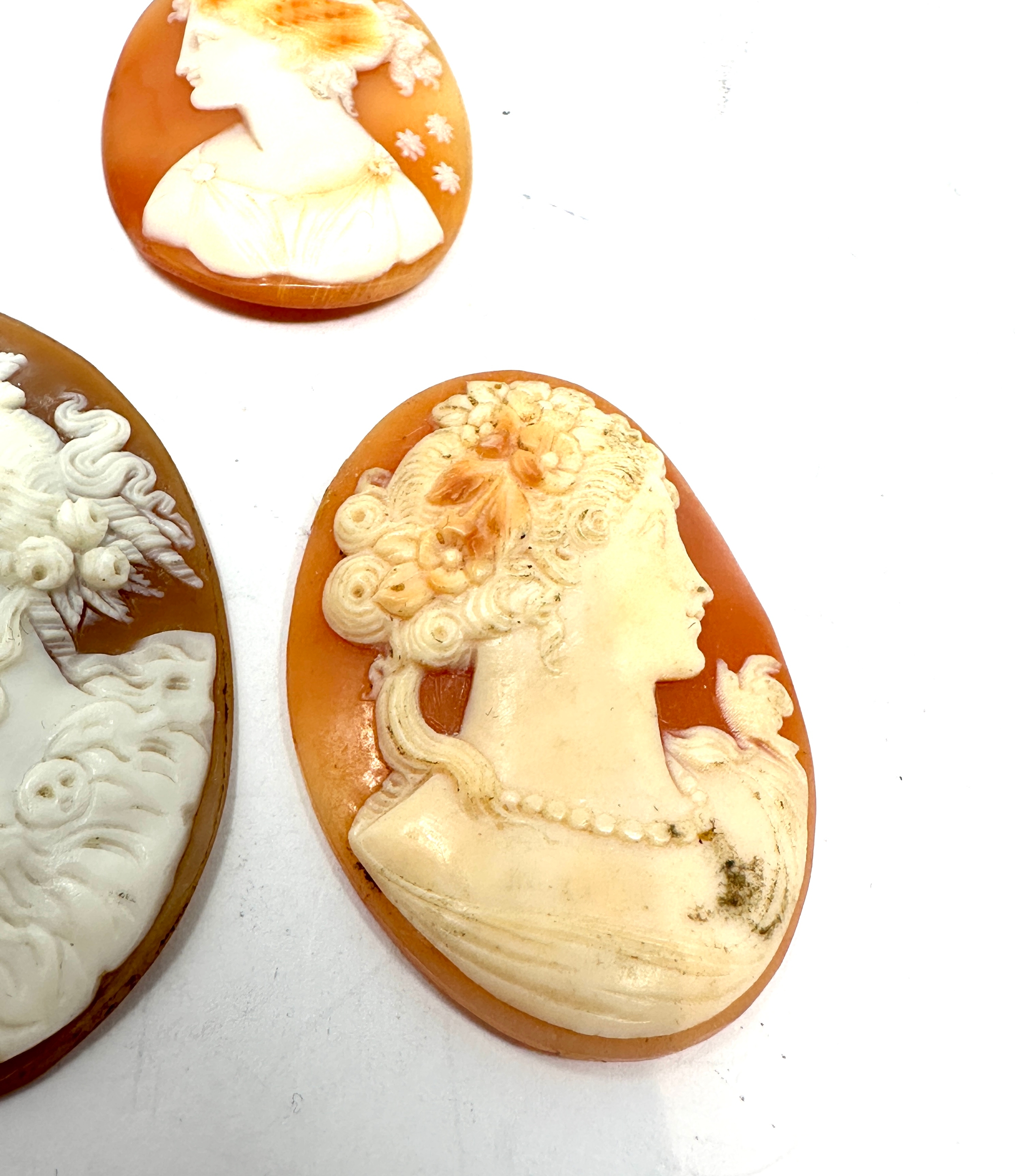 3 antique cameo shell brooch inserts largest measures approx 4.5cm by 3.5cm - Image 3 of 4