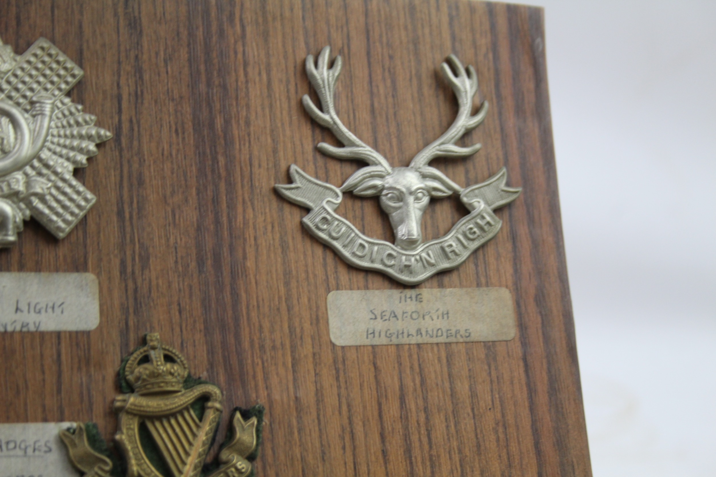 Mounted Military Cap Badges x 16 inc. Irish Scottish Royal Warwickshire Regt - Image 8 of 12
