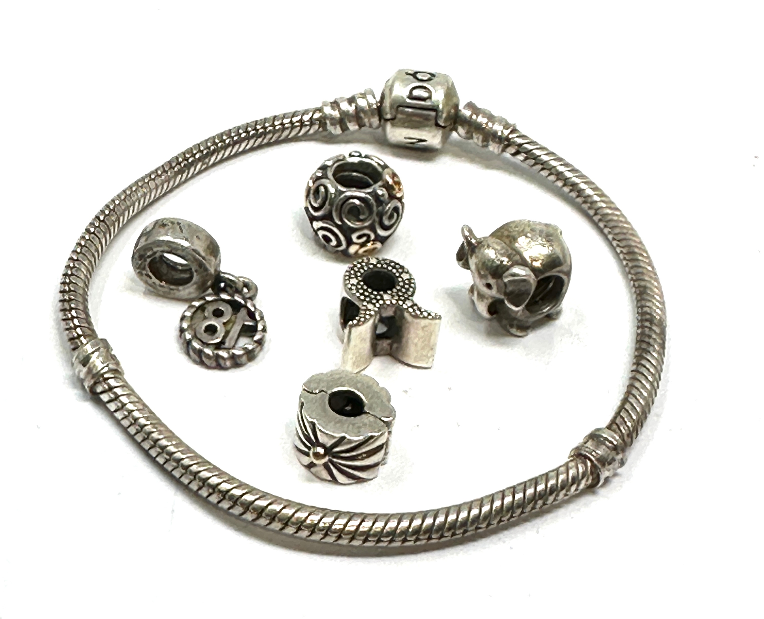 Pandora silver charms & pandora snake bracelet