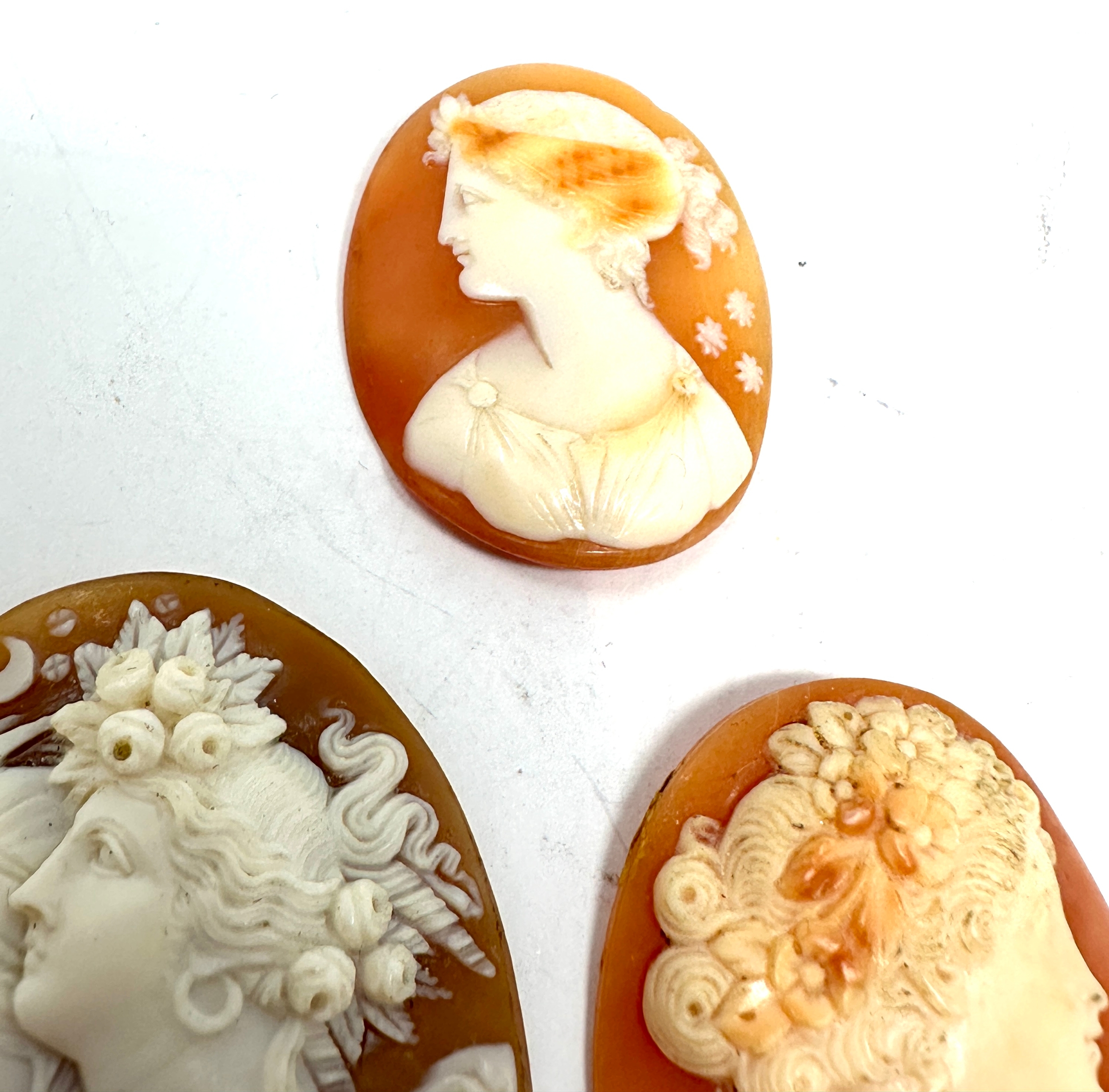 3 antique cameo shell brooch inserts largest measures approx 4.5cm by 3.5cm - Image 4 of 4