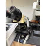 NIKON ECLIPSE E200 LAB MICROSCOPE WITH 4 OBJECTIVES