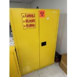 FLAMMABLE CABINET / FIRE PROOF