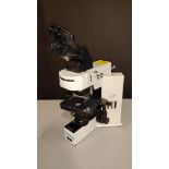 OLYMPUS BX40 LAB MICROSCOPE (NO OBJECTIVES)