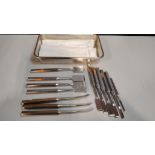 ORTHOPEDIC CHISELS