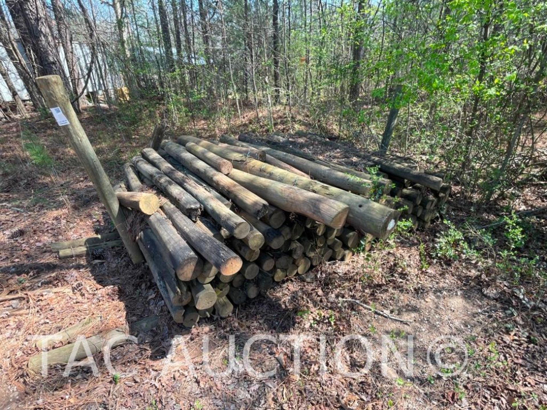 Wooden Fence Posts