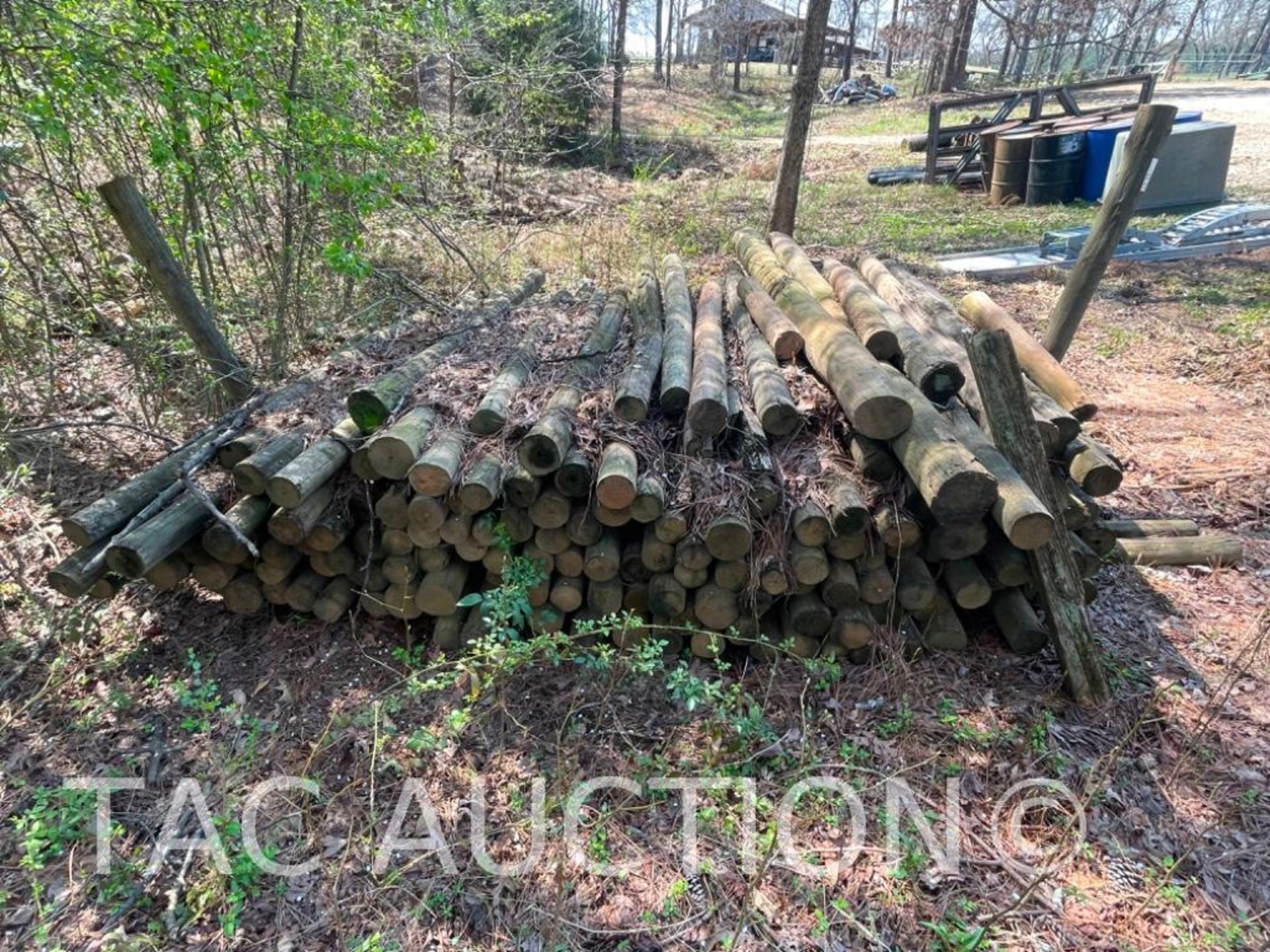 Wooden Fence Posts - Bild 3 aus 4