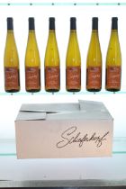 Schieferkopf Riesling Via Saint-Jacques, 2014 [6 x 75cl] [IB]