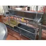 inspection station w/ trough, stainless steel, approx. 30 in. x 96 in. [Evisceration 2]