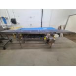 Hager Industries Wire Mesh Belt Conveyor, stainless steel, mod./ser. no. 118-20-02, approx. 156