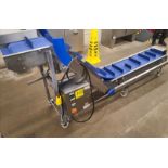 Hager Industries Fluted Belt Conveyor, mod./ser. no. 132-20-02, approx. 120 in. x 13 in.,