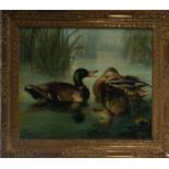 Pair of Ducks at the Pond, 19th century English school