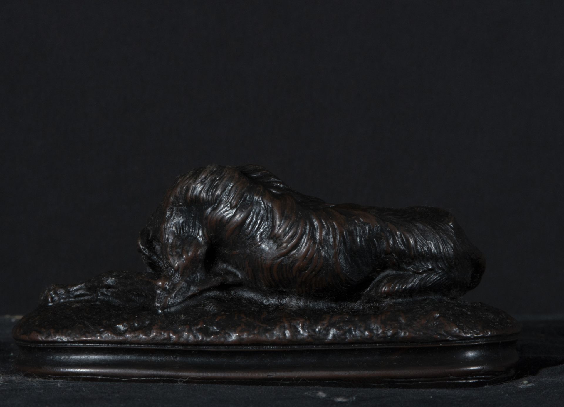 Patinated bronze dog Austria 19th century - Bild 2 aus 3