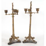 Pair of French Napoleon III candelabras in gilt bronze, France 19th century