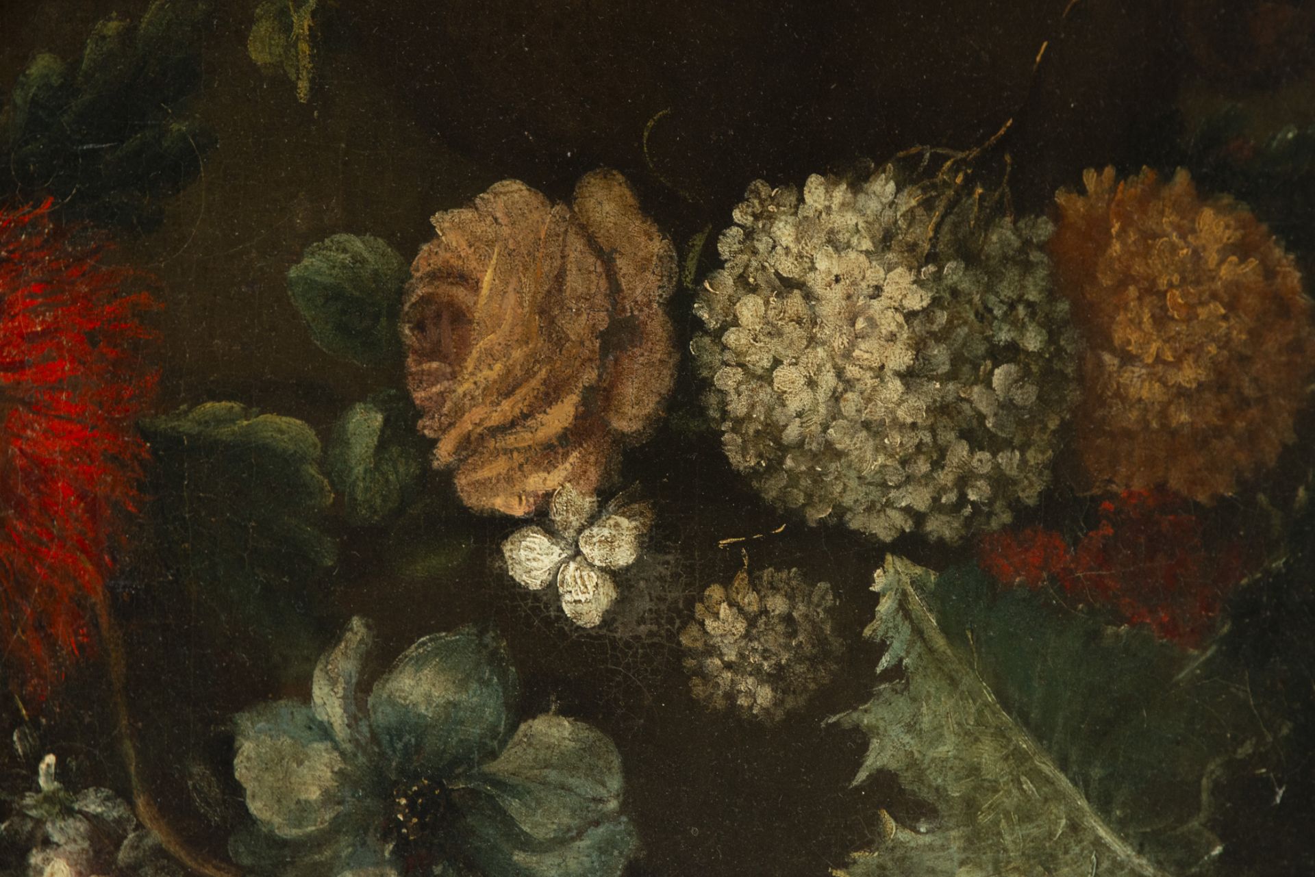 Mariano Nanni, 17th century Italian school, Still Life of Flowers - Bild 4 aus 6