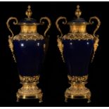 Pair of Large Sevres Vases in "Bleu Celeste" porcelain from the 19th century