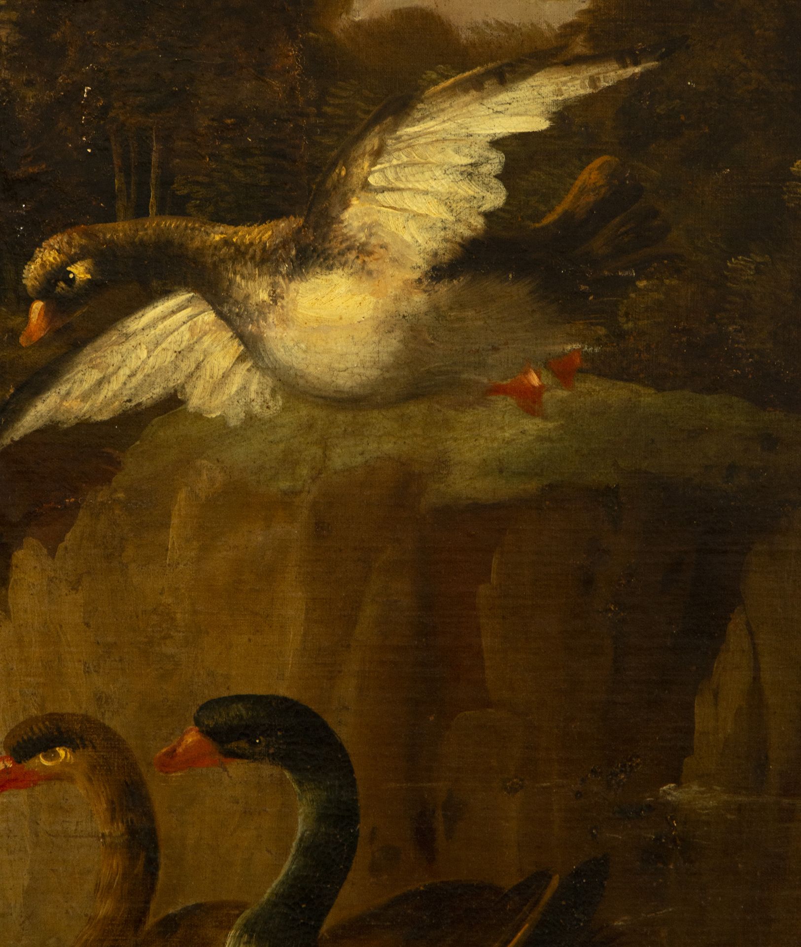 Italian school by Mariano Nanni, Still Life with Birds from the late 17th century - Image 4 of 6