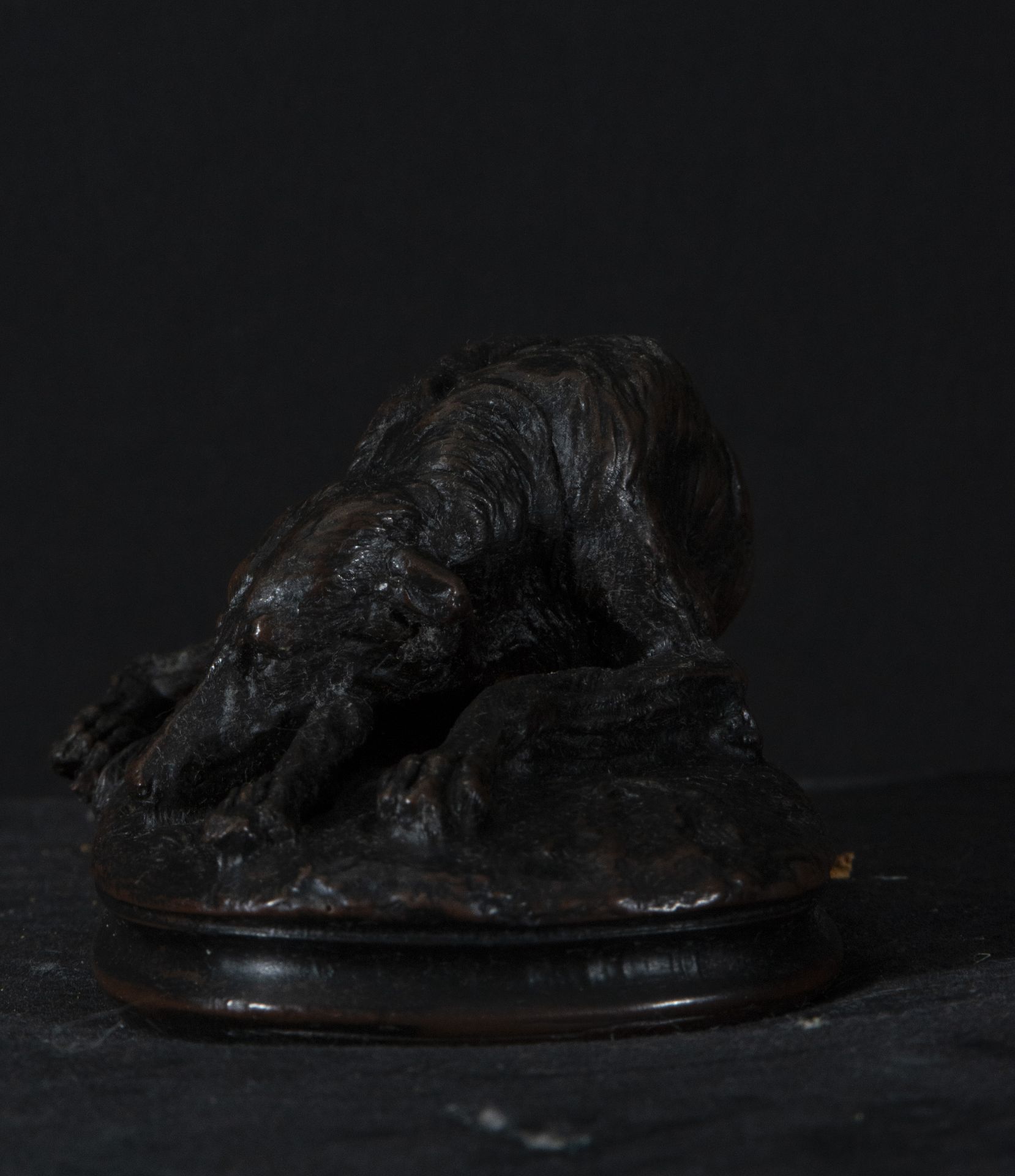 Patinated bronze dog Austria 19th century - Image 3 of 3