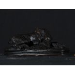 Patinated bronze dog Austria 19th century