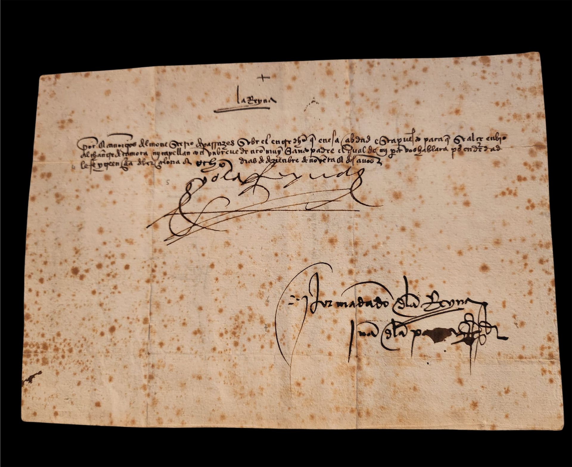 Manuscript signed by the Catholic Monarchs Isabel and Ferdinand, dated in Barcelona on December 8, 1