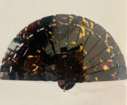 Important and large Filipino fan in solid tortoiseshell plaques, Philippines 19th colonial school