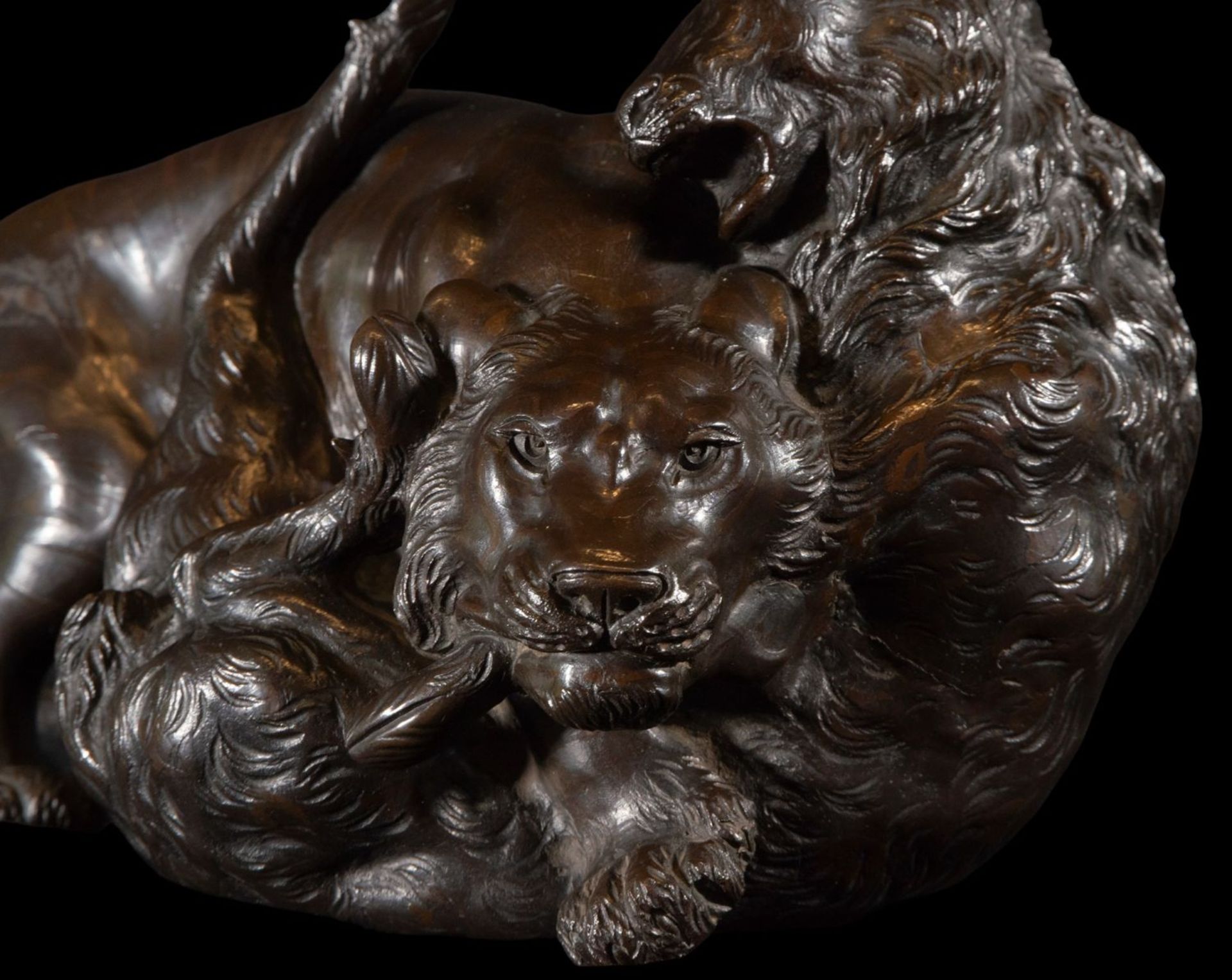 Beautiful bronze sculpture of a lion hunting a deer, 19th century - Bild 5 aus 6