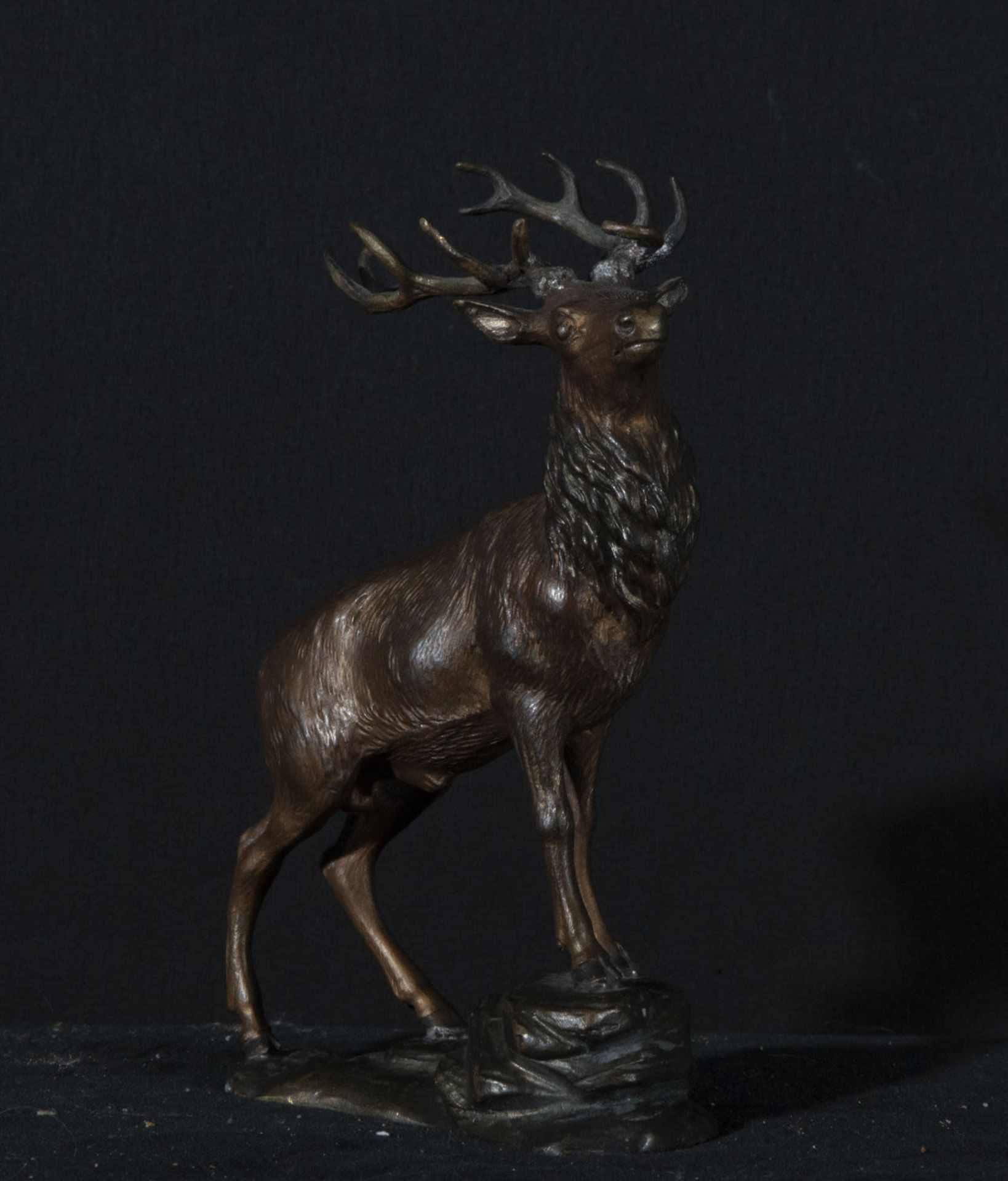 Deer in Bronze 19th century, Vienna, Austrian work