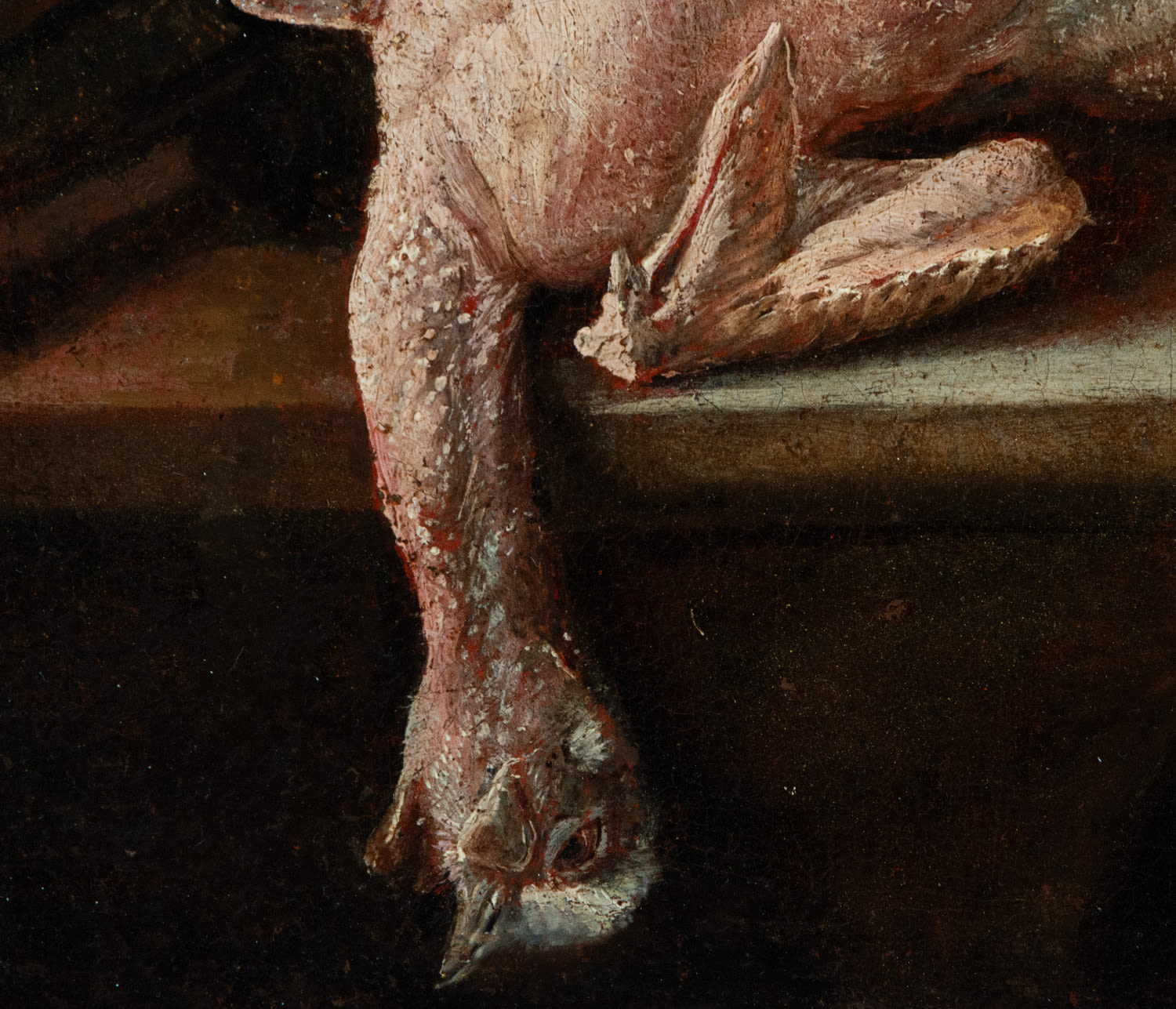 Mariano Nanni, Still Life of Fish with Cat, 18th century Italian school - Image 6 of 7