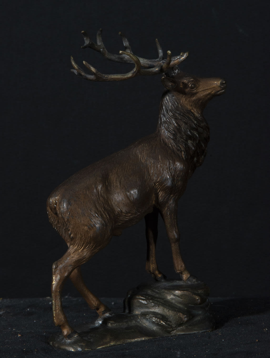 Deer in Bronze 19th century, Vienna, Austrian work - Image 2 of 2