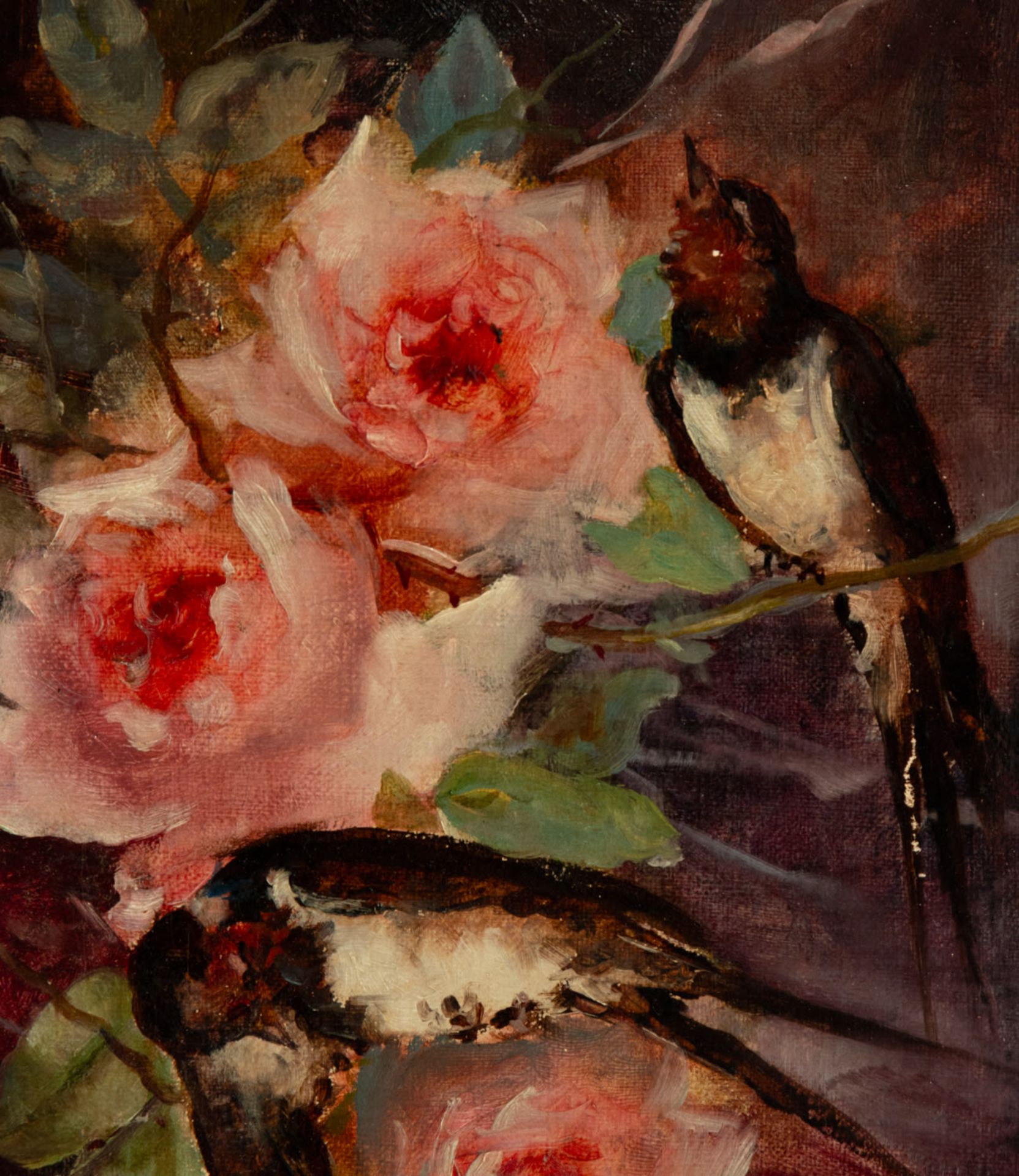 C. Suerra (signed), Birds and flowers, 19th - 20th centuries - Bild 2 aus 4