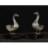 Pair of Chinese ducks in bronze filigree and cloisonné enamel, 20th century