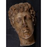 Head of Patrick in marble, 16th century Italian school