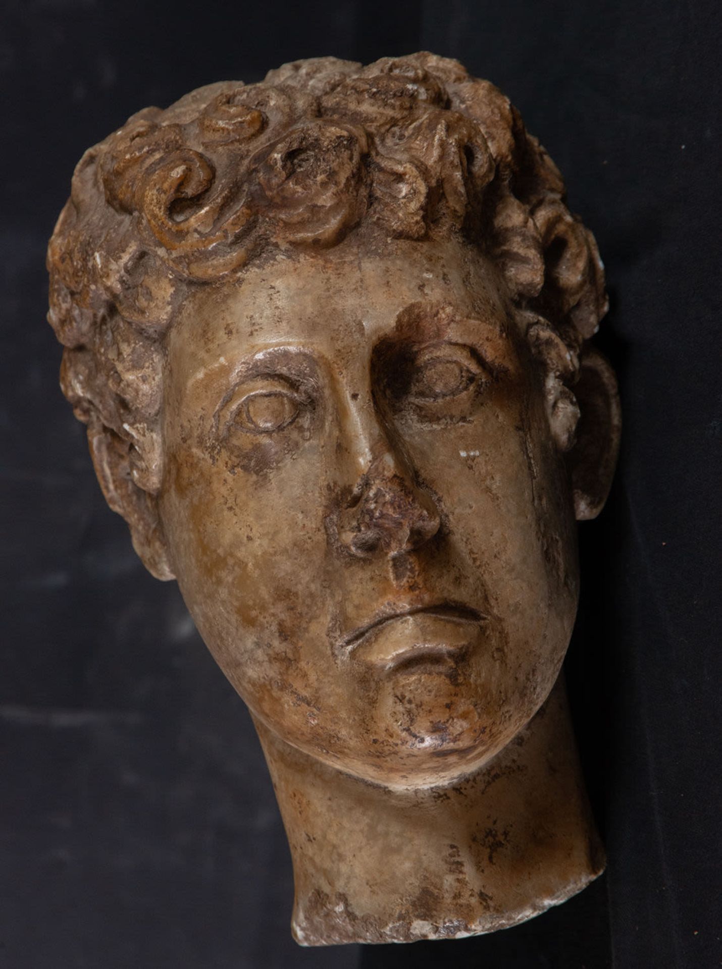 Head of Patrick in marble, 16th century Italian school