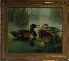 Pair of Ducks at the Pond, 19th century English school