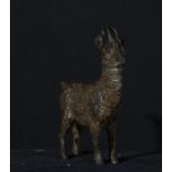 Goat in Bronze 19th century, Vienna, Austrian work