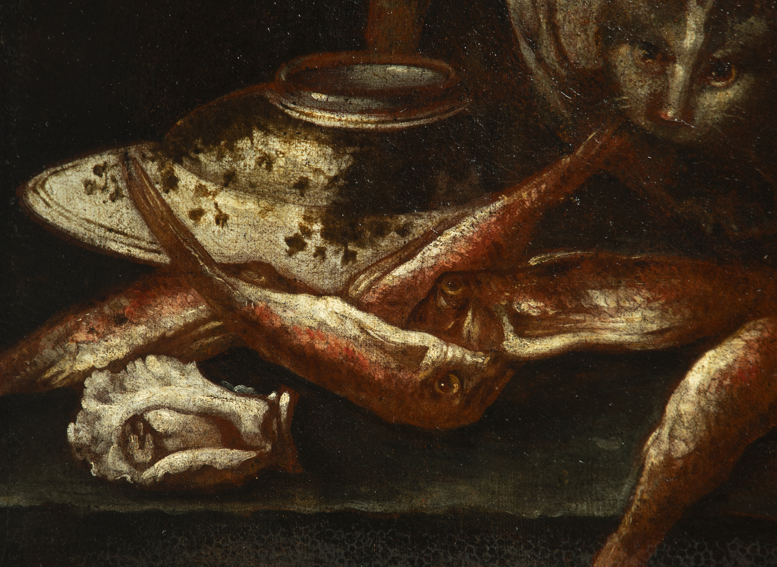 GIUSEPPE RECCO (Naples, 1634 - Alicante, 1694) - Fish still life with cat - Image 4 of 9