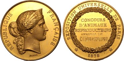 France Third Republic 1878 Gold Medal