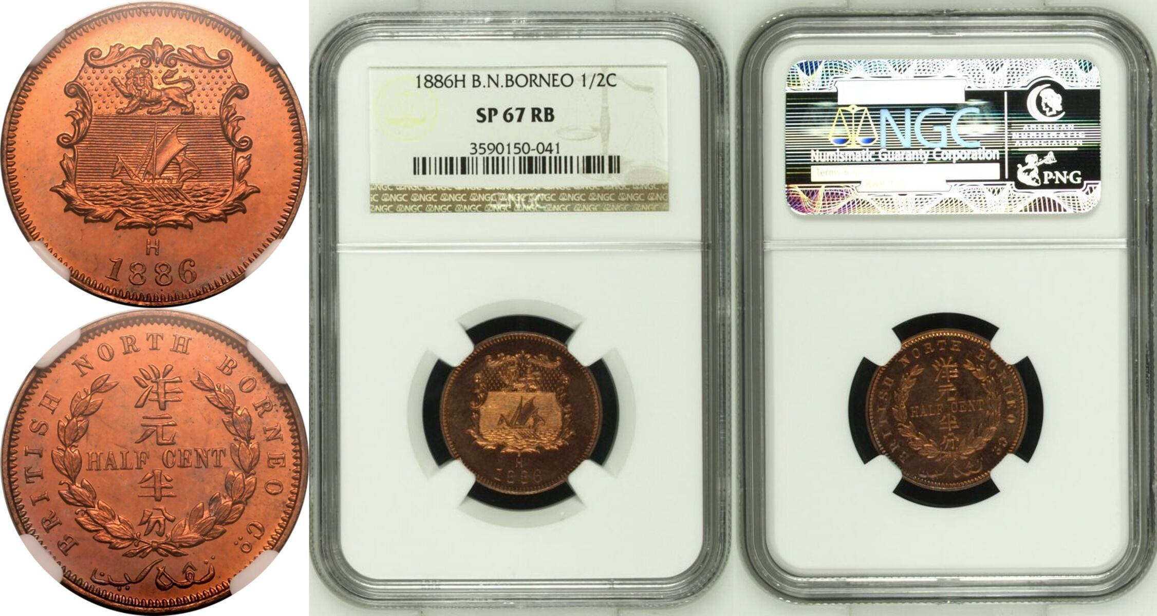 British North Borneo Victoria 1886 H Bronze 1/2 Cent Specimen - Top Pop NGC SP 67 RB - Image 7 of 7