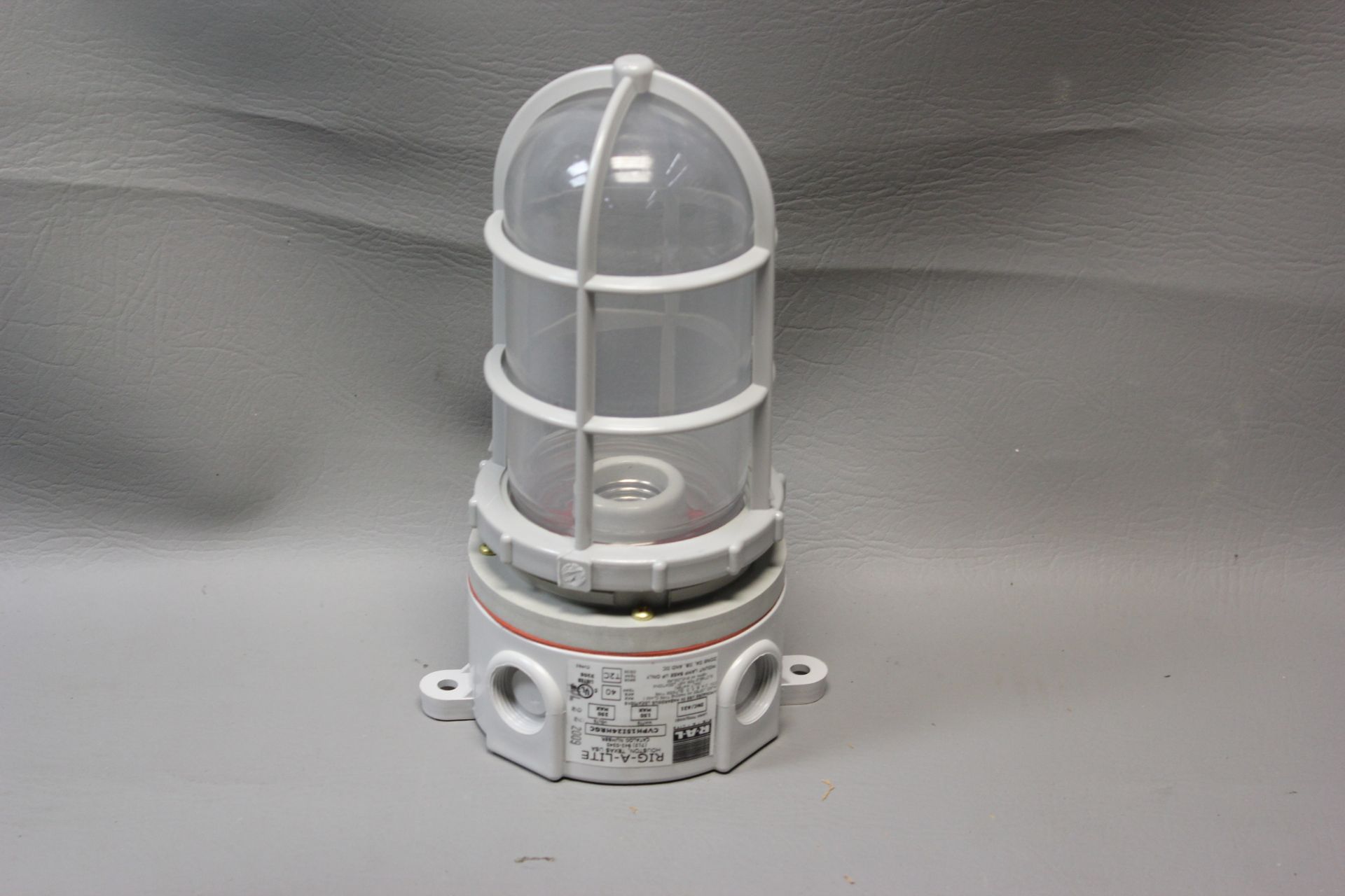 NEW RAL RIG-A-LITE HAZARDOUS LOCATION LUMINAIRE - Image 2 of 3
