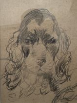 British School, 20th century, two dog portraits