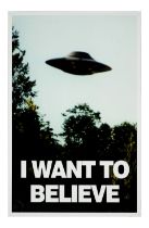 THE X-FILES (T.V. SERIES, 1998 - 2001) - Fox Mulder's (David Duchovny) "I Want to Believe" Poster
