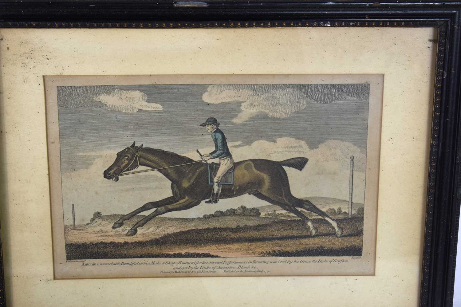 Horse racing interest: Three 18th century hand coloured mezzotint pictures, Antonius bred by His - Image 2 of 3