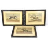 Horse racing interest: Three 18th century hand coloured mezzotint pictures, Antonius bred by His