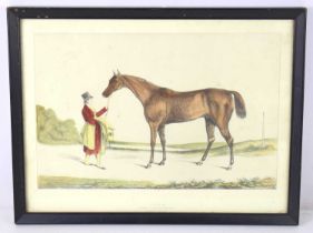 Horse racing interest: A 19th century hand coloured engraving of "Priam" The Winner of the Derby