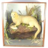 A Victorian Taxidermy of an otter with a Roach fish underfoot by Thomas Edward Gunn of Nowich, the