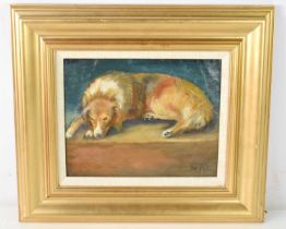 Frederick Hall (1860-1948): canine portrait study of a Rough Collie lying down, signed bottom