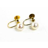 A pair of 9ct gold and pearl earrings, the single pearls adjoin the hoop and screw backs.