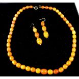 A string of vintage graduated amber beads and matching drop earrings, 21.8g.