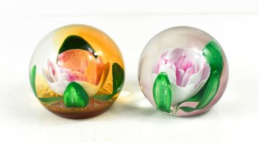 Two Caithness glass paperweights: both examples titled Night & Day 116/250,