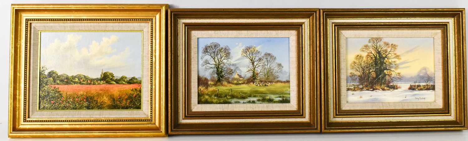 Tony Malton (20th century): Three oil on canvas: Spring, Summer and Winter landscapes, all signed,