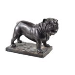 After Pierre-Jules Mêne: A bronze figure of a bulldog standing on a naturalistic base, 19.5cm high.